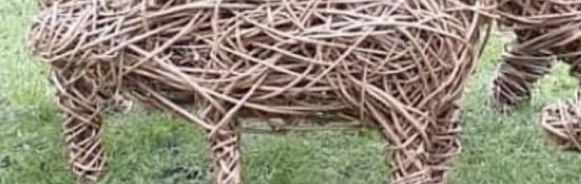 Willow Weaving - Pig