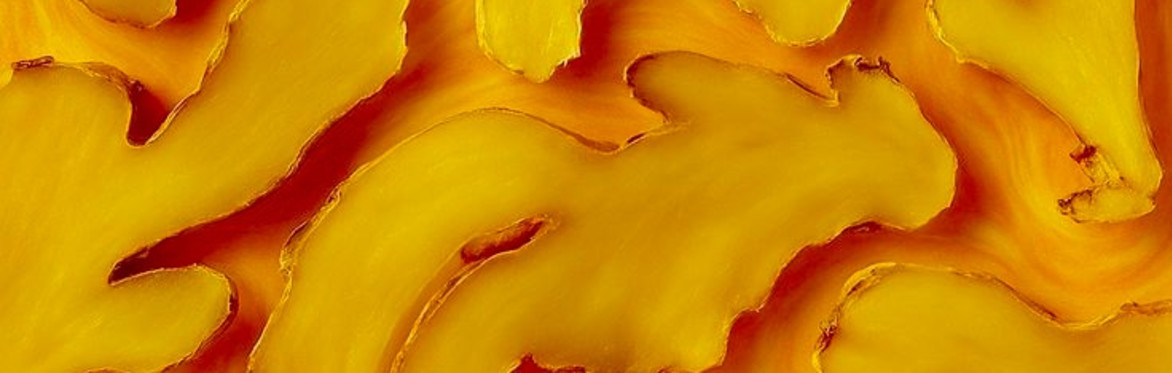 Ayurveda Nutrition Course - A journey towards digestive ease