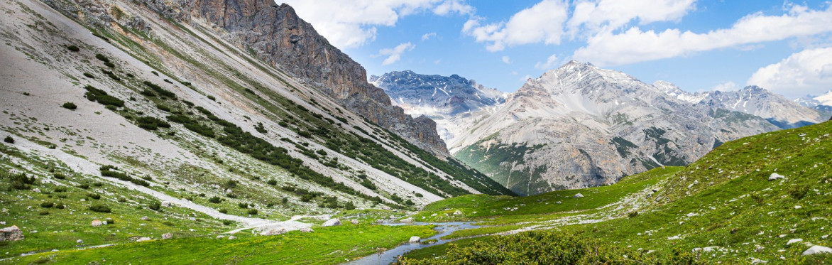 Alla Scoperta Della Biodiversità Nella Val Di Fraele E Valle Alpisella