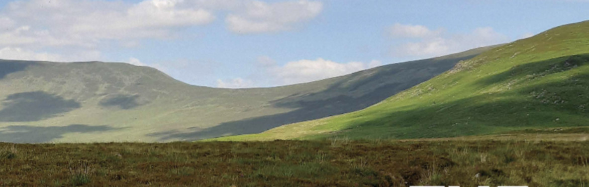 Streamscapes:The Bog Revealed/Derryconnell Bog Walk