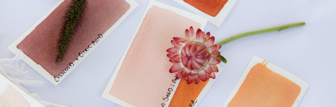 Colour Lab: A Year in the Field - A Seasonal Colour Workshop Series
