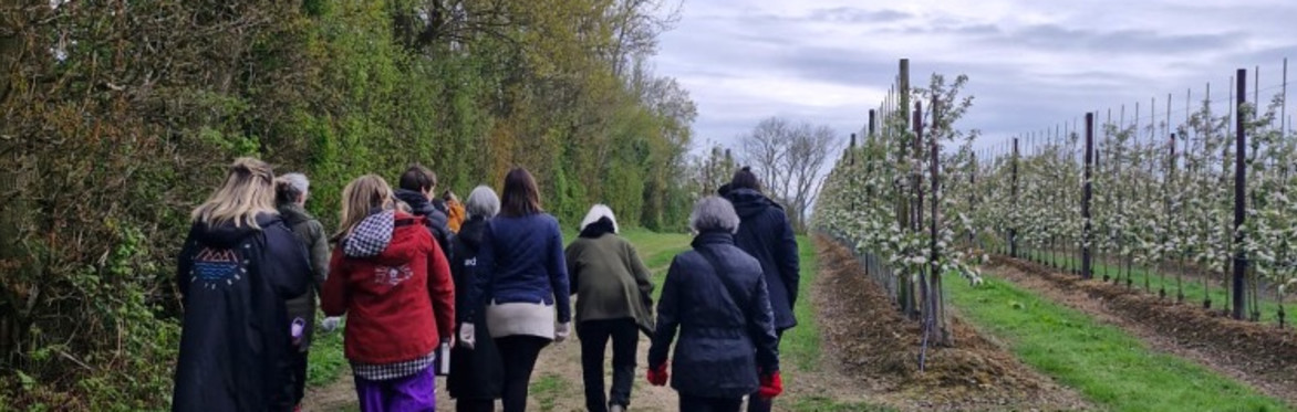 Wild Grounds - Silent Orchard  Walk • Forest Bathing • Apple Harvest Celebration