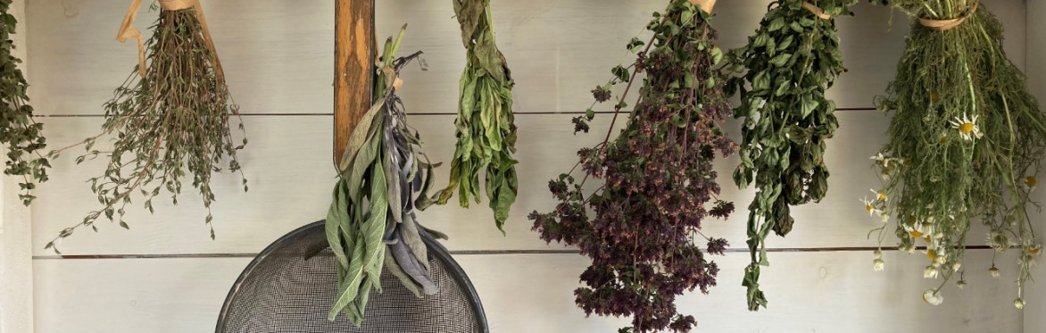 Rooted in Nature- Autumn Herbal Workshop