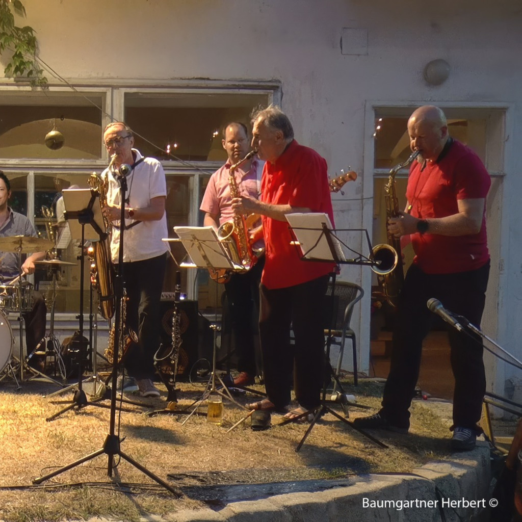 Das Dschungelorchester