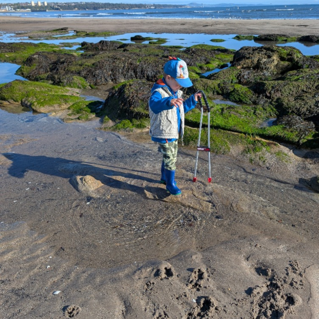 Family-friendly litter-picking at Seafield