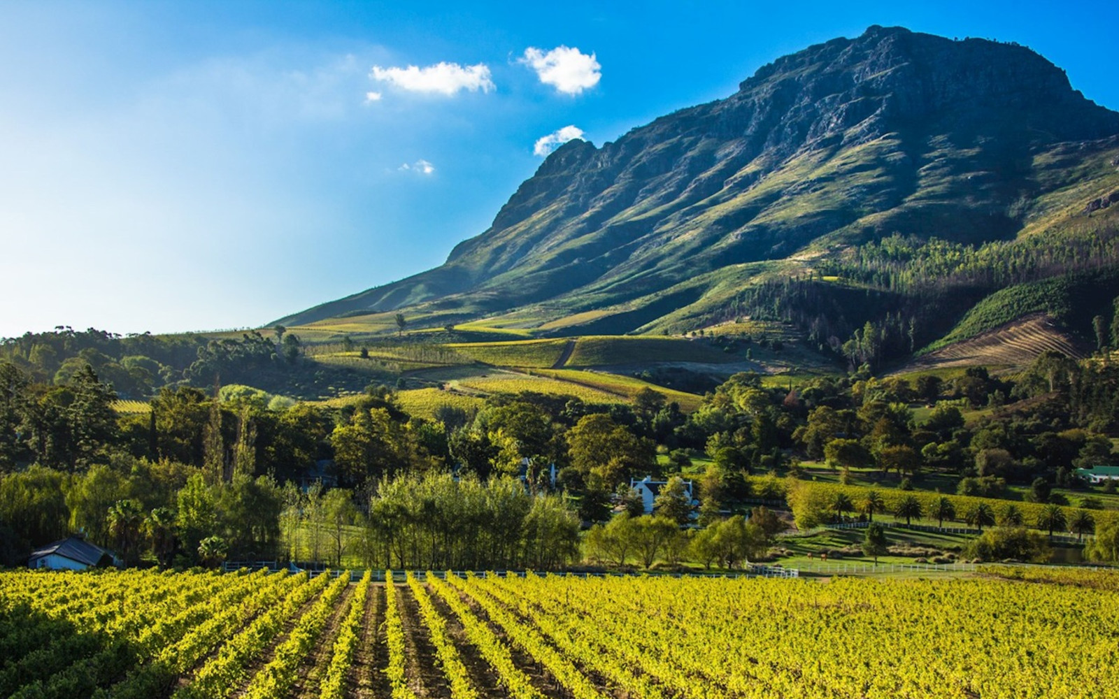 South African Fine Wine Icons Pairing Dinner