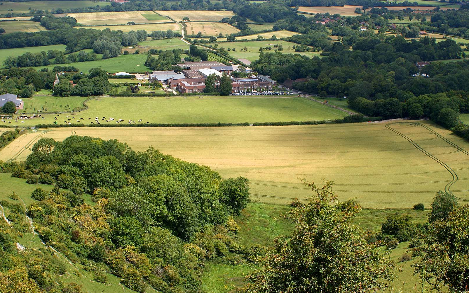Chef on the Farm Programme, Adopt a School Trust