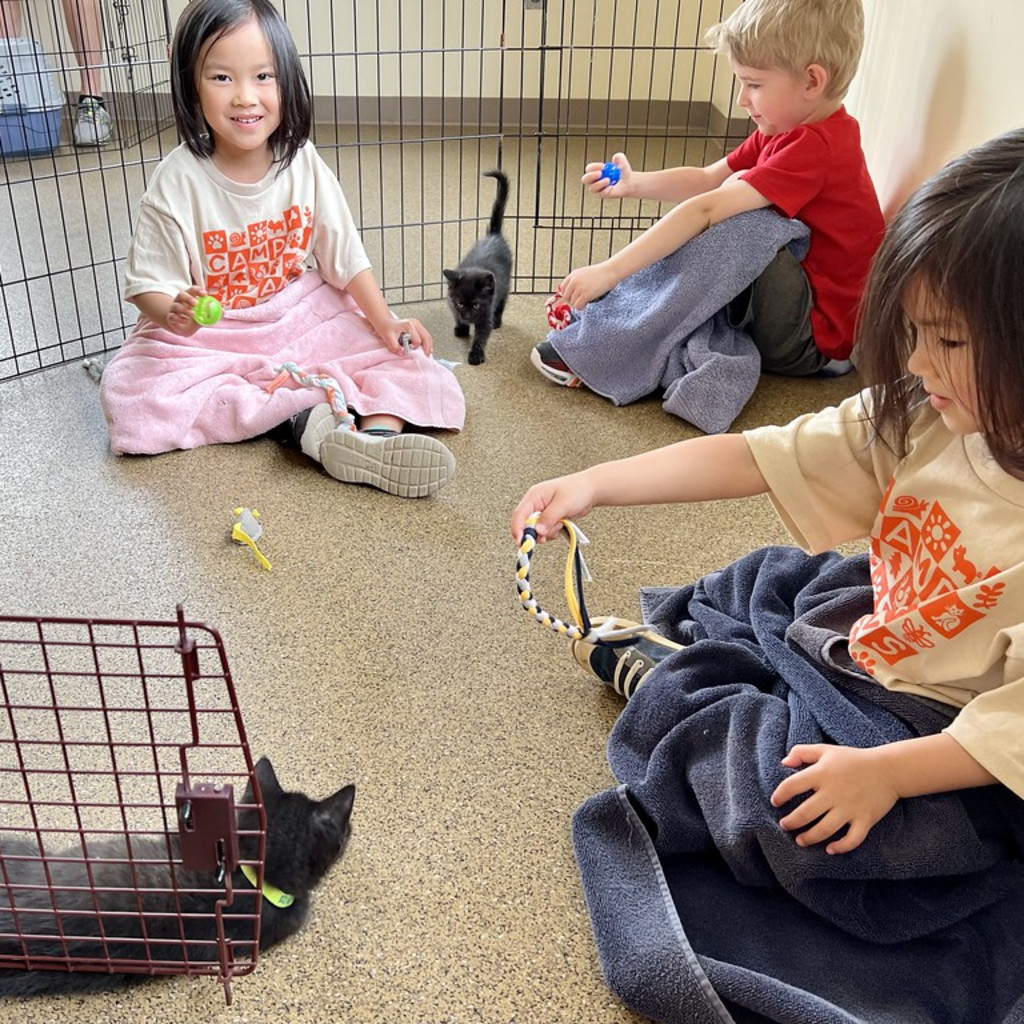 Camp PAWS Jr.