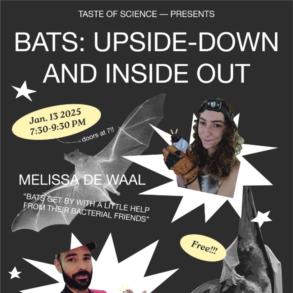(sold out) Bats: Upside-Down and Inside-Out