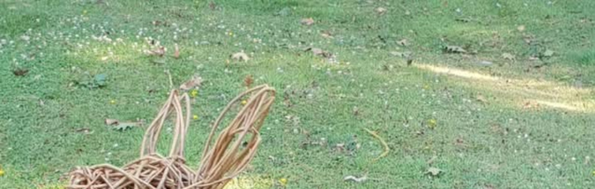 Willow Weaving - Fawn