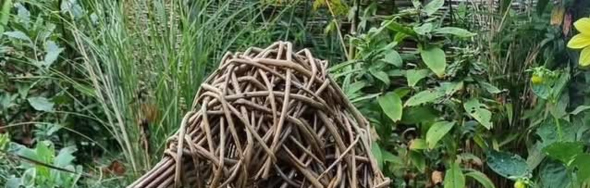 Willow Weaving - Penguin