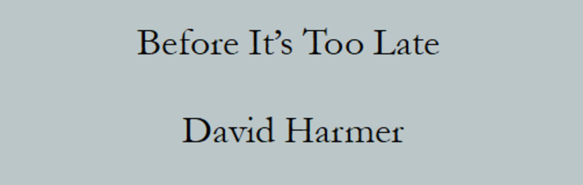 David Harmer - Before It's Too Late online launch