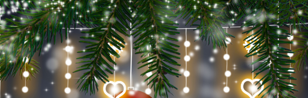 Seren's Wish Christmas Disco