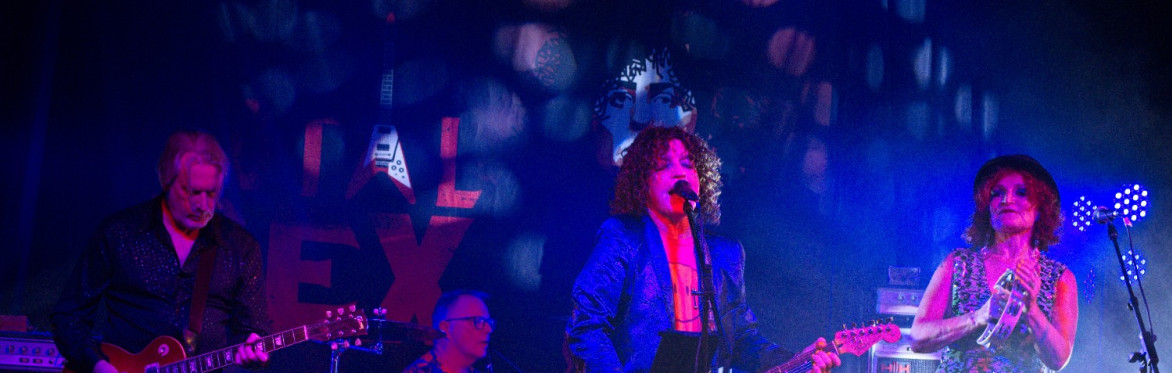 Total Rex - approved by the Official Marc Bolan Fan Club!
