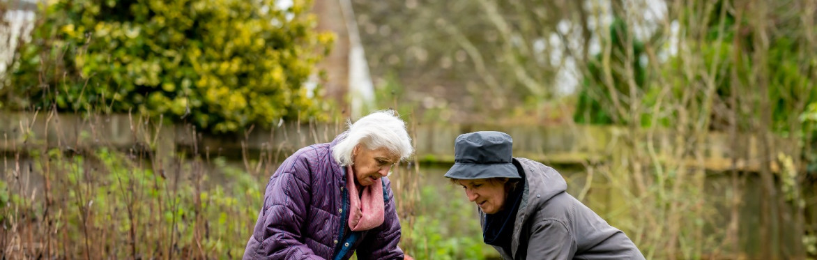 The Bristol Older People's Forum - what can we learn from their work on climate?