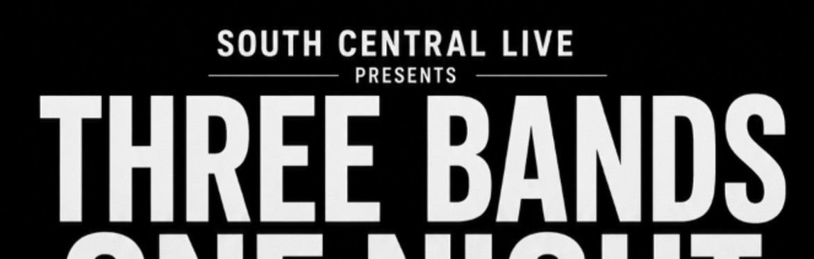 Three Bands One Night in Reading