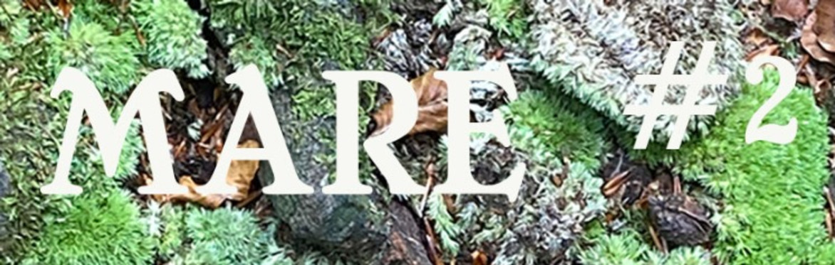ANIMISM IN THE CONTEMPORARY REALM #2  ﻿Tentative Entanglements with Oddkin﻿