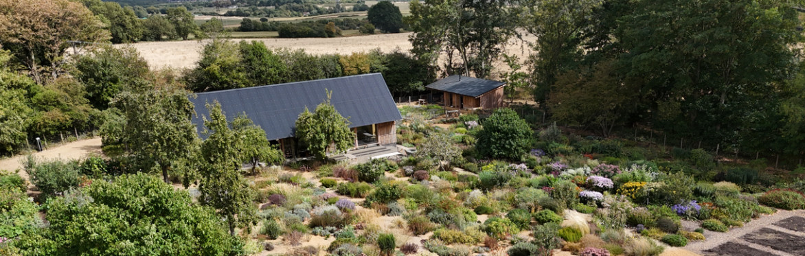 Untangling Plants: St Andrews Botanic Garden and Tom Stuart-Smith Studio CPD Sessions (Weds 1, Thurs 2, Fri 3 July 2026)
