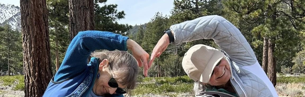 hiking and yoga in the forest