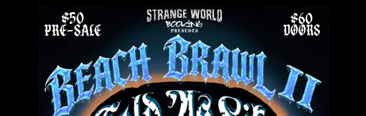 Beach brawl 2