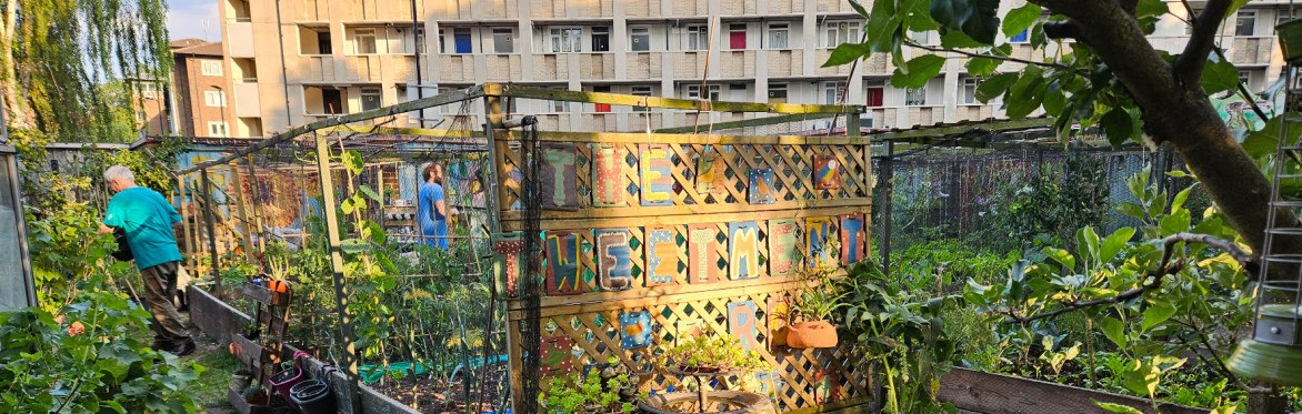 RtG Drop-In Open Garden Session 4: Cranbrook Community Food Garden