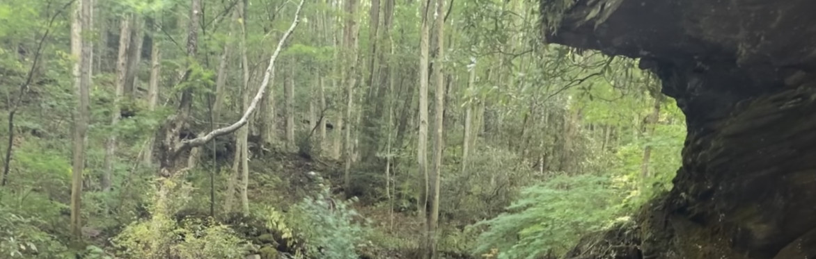 Unplugged in West Virginia -Two Night Backpacking Trip
