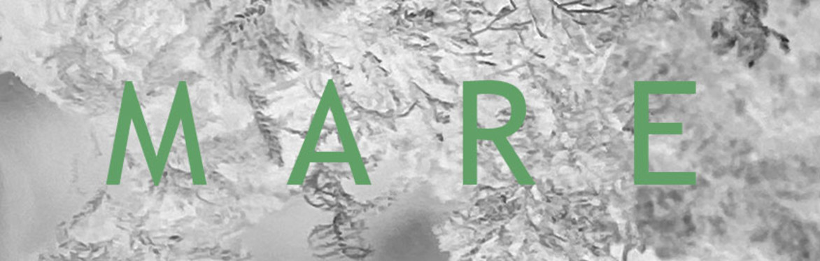 MARE - Workshop #1 - Animism in the Contemporary Realm.  Re-cognition and co-creation