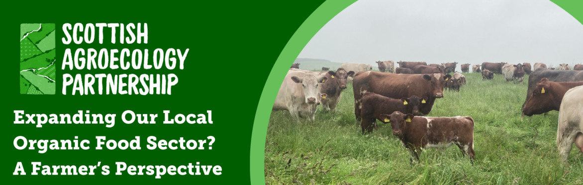 Expanding our Local Organic Food Sector? A Farmer's Perspective