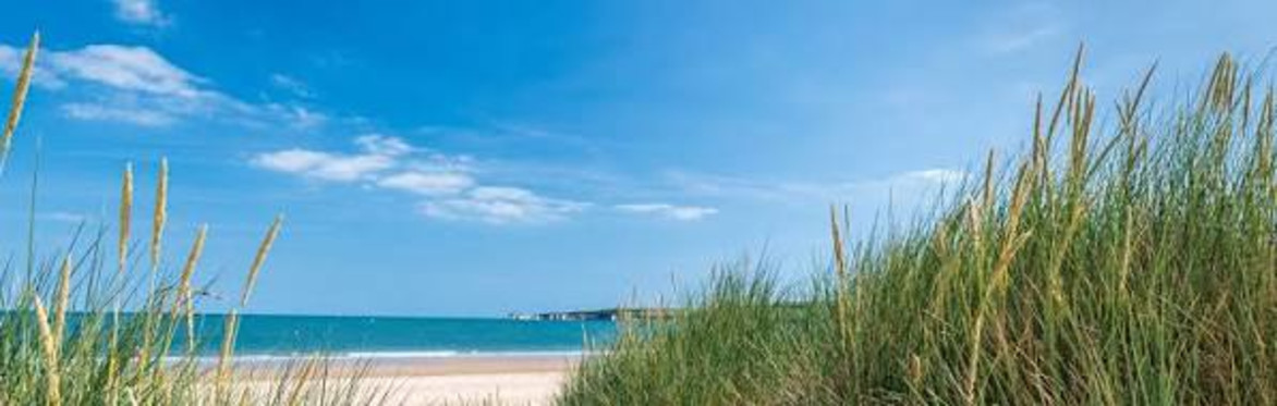 Studland Beach