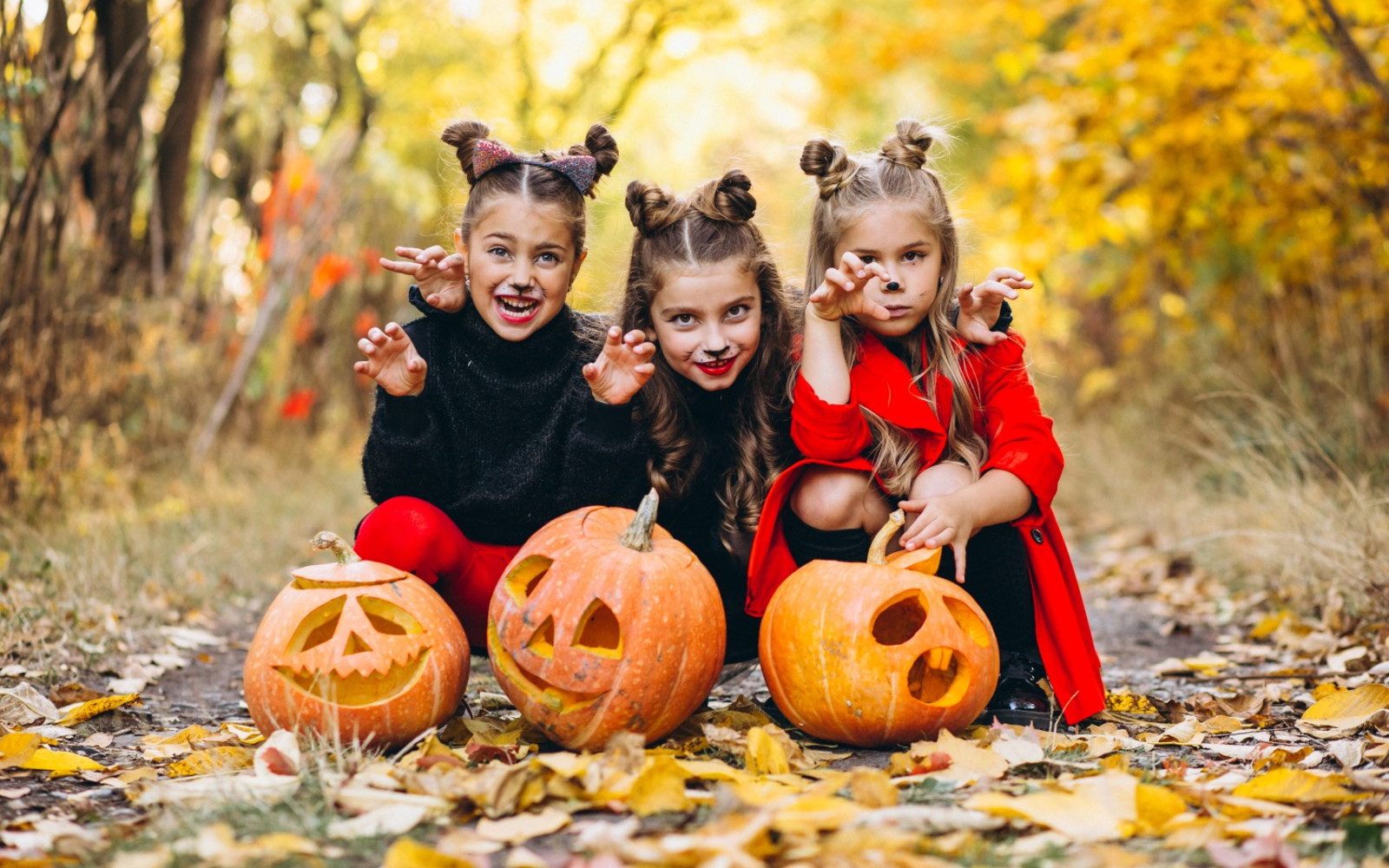 Northlands Farm Halloween "Family Frights and Pumpkin Delights" 2026