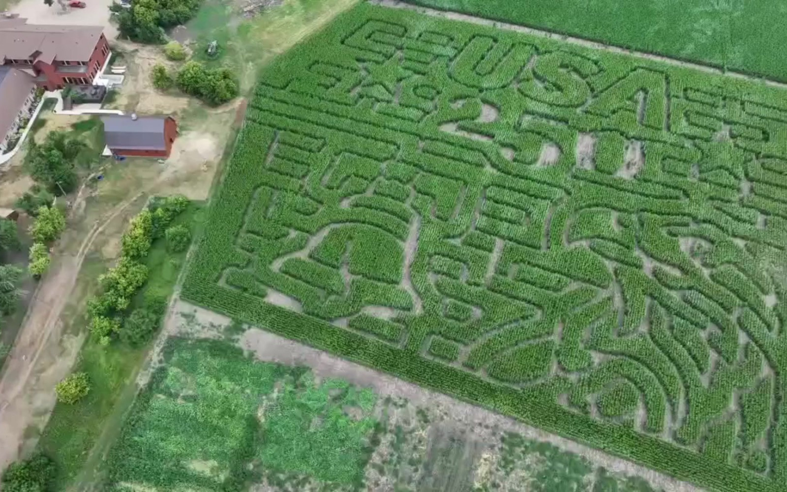 Lost Sheep Corn Maze Family