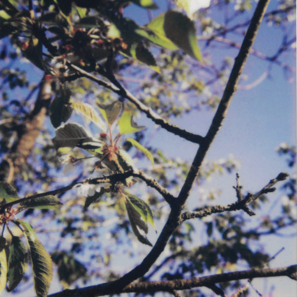 Pause with the Viewfinder: Slow instant photography and poetry Workshop (Part of the 2026 Geopoetics Gathering)