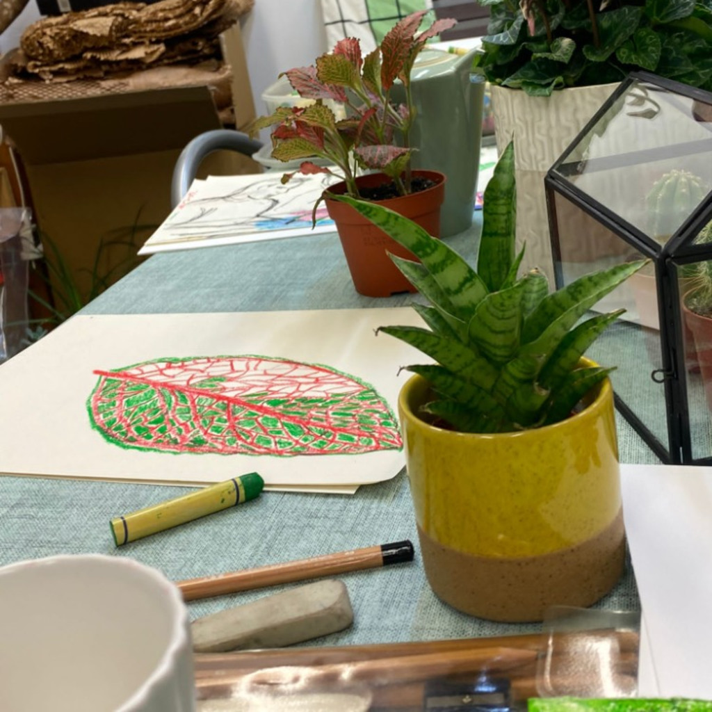 Plant Drawing & Social