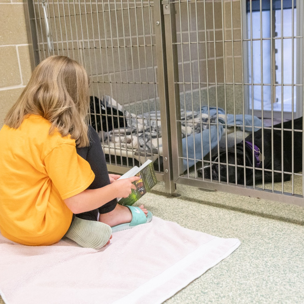 Rescue Reading