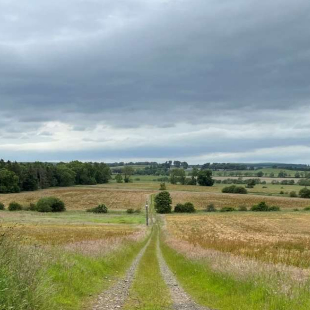 National Trust: Wallington