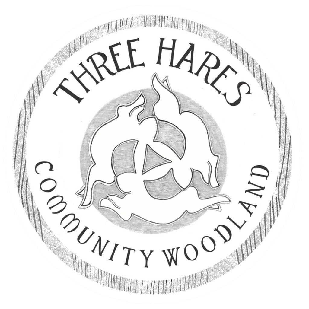 Three Hares Ceilidh