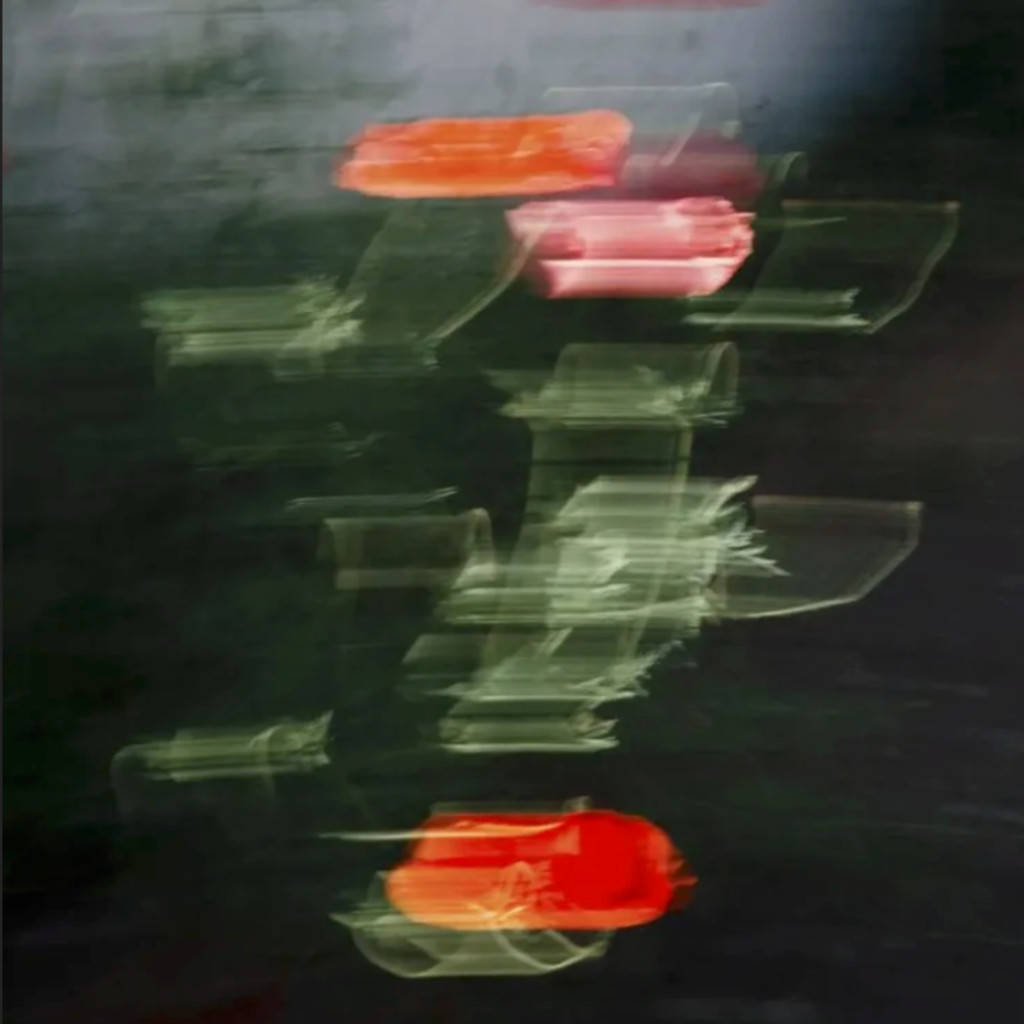 Creative Digital Photography Level 1 with Myles Shelly