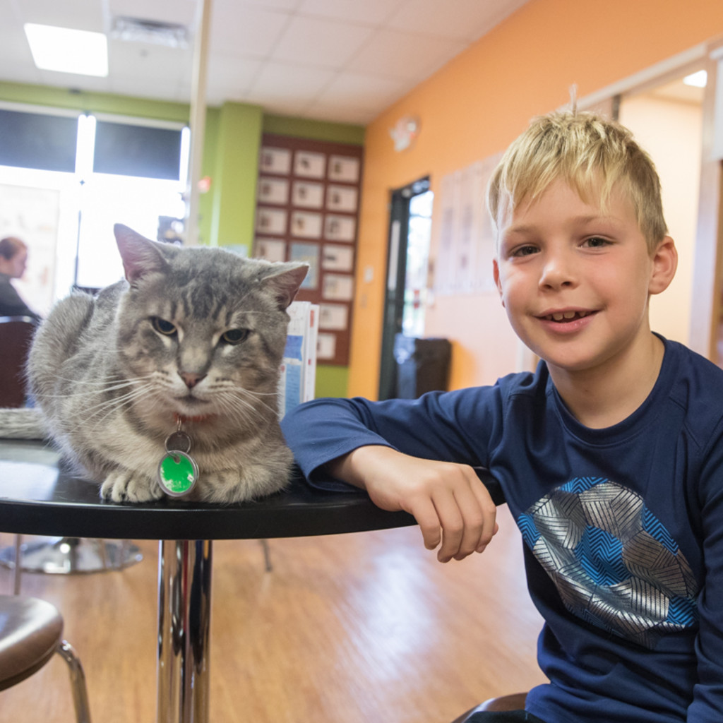 Cats and Kids (Parents' night out)