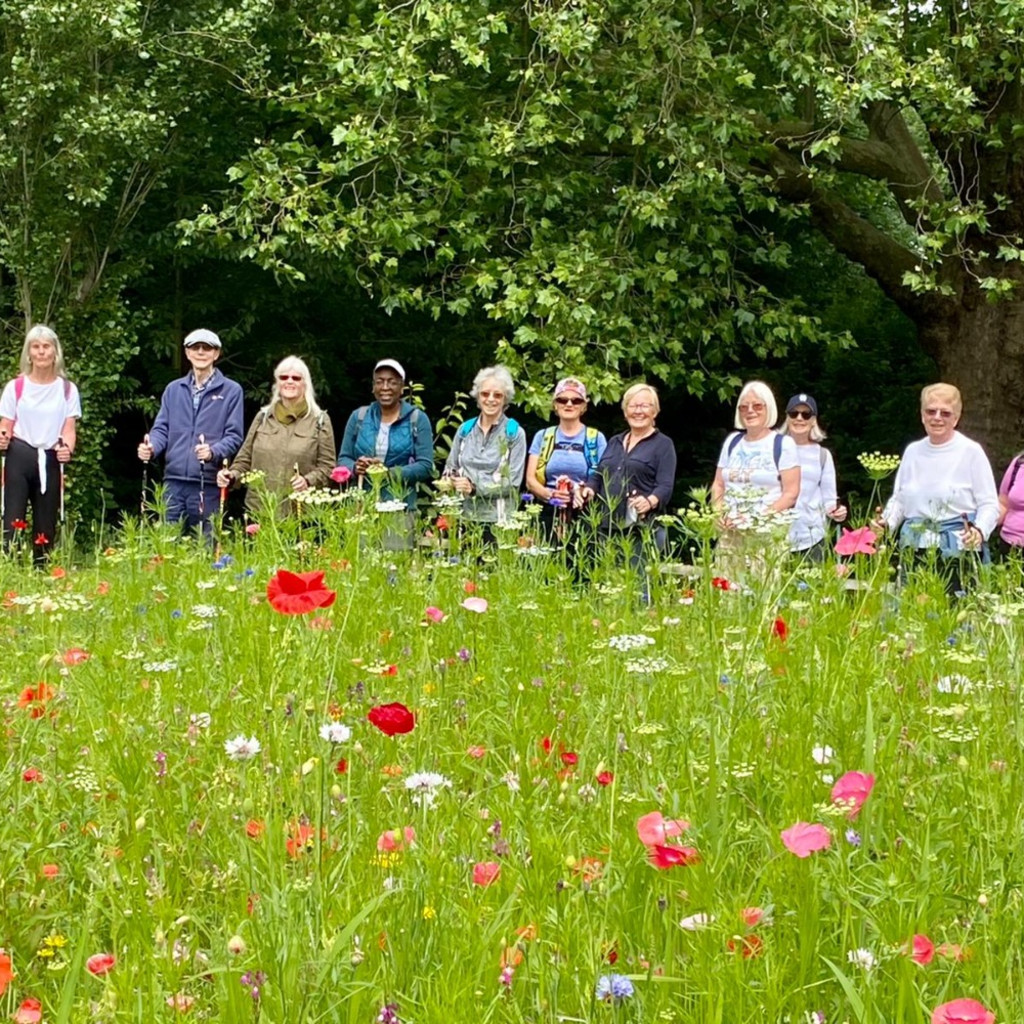 [Dulwich Park] Nordic Walking with Silverfit