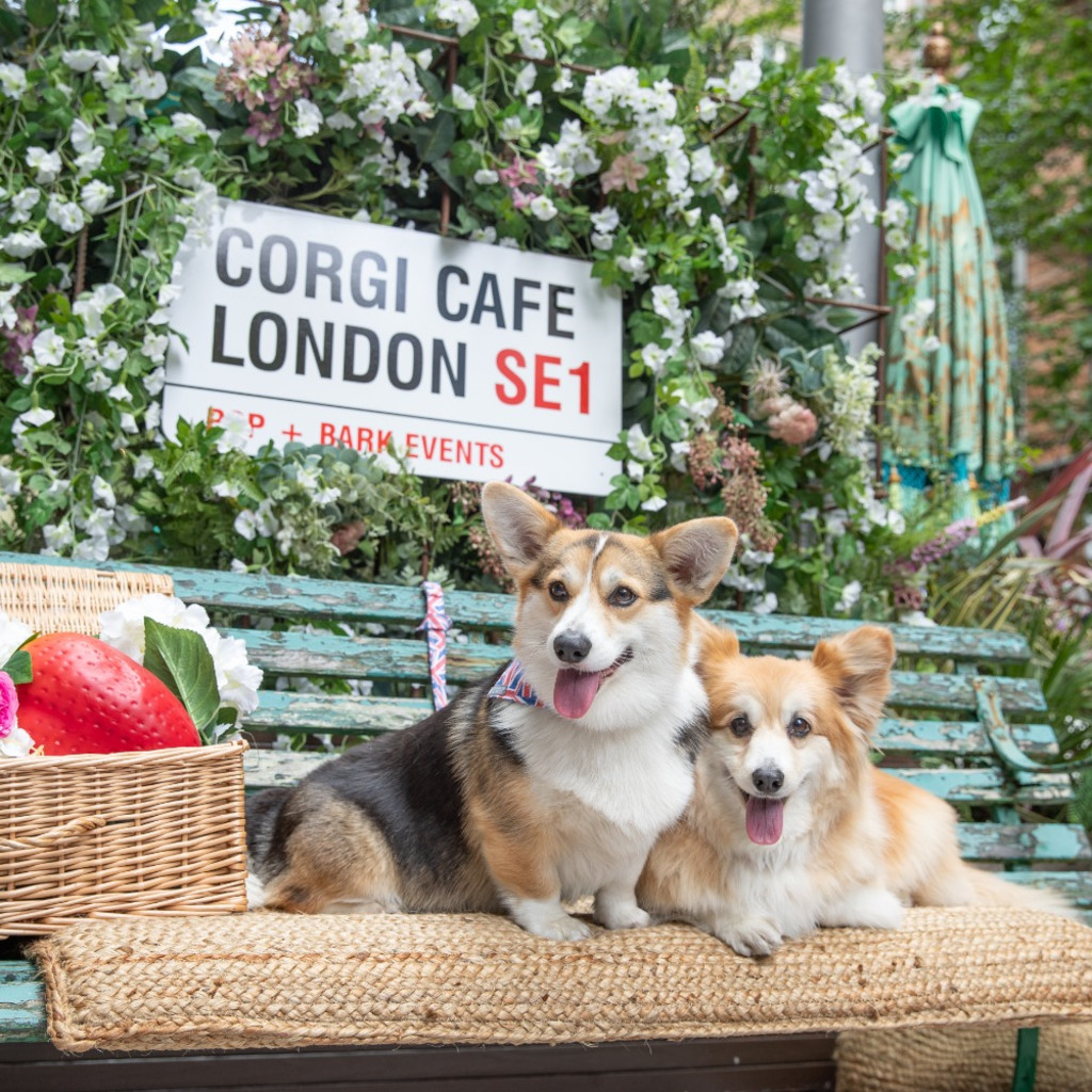 Corgi Cafe - London