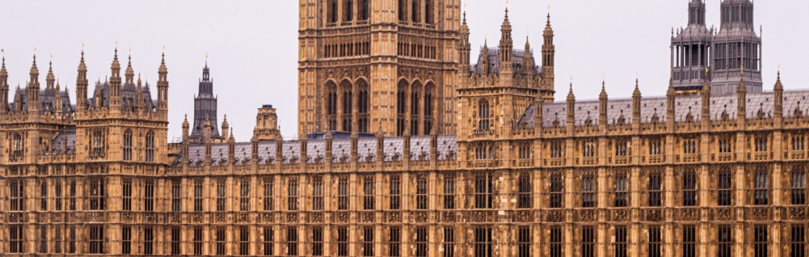 Permanent Emergency: States of Exception and Democratic Erosion