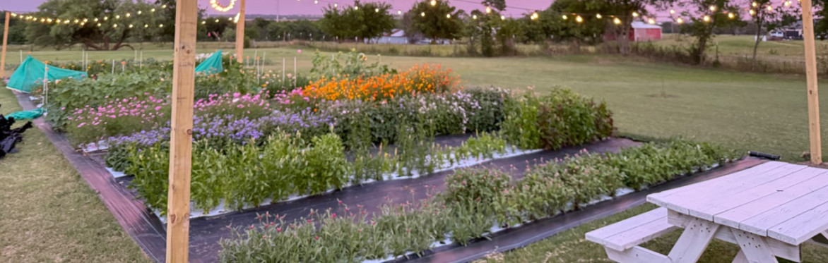 Pick-Your-Own Flowers