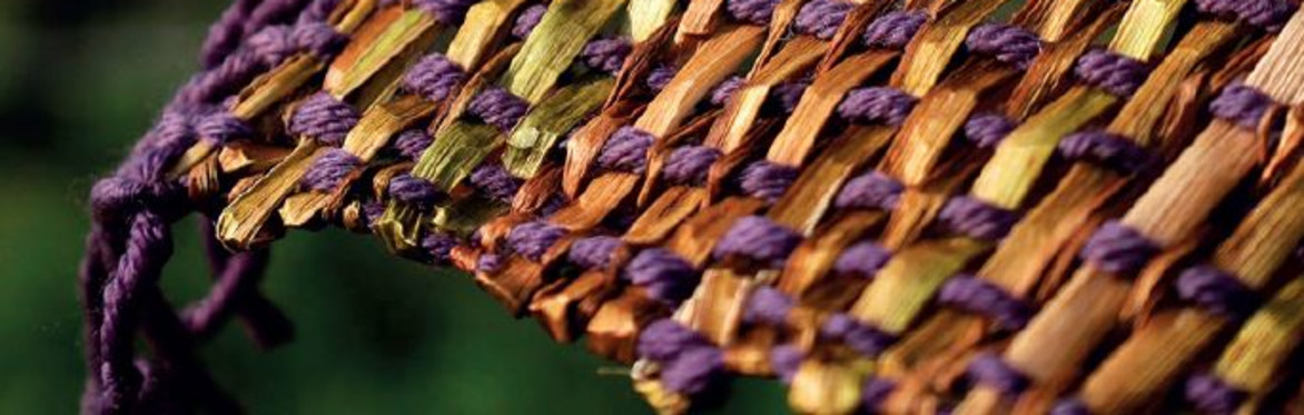 Workshop: Intrecci vegetali