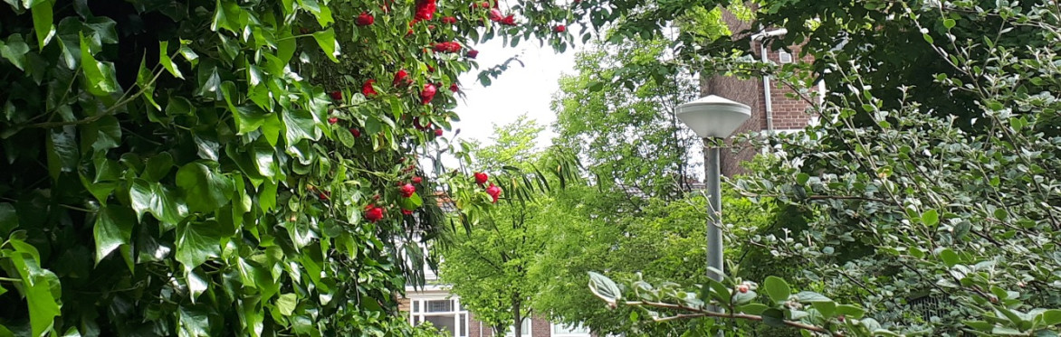Green City Witch Walk - September