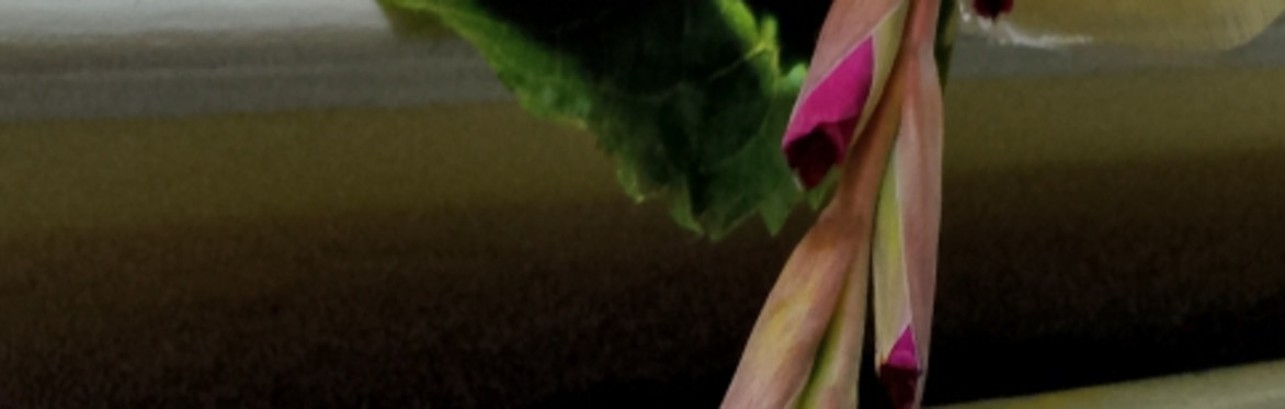Halloween Floral Broomstick workshop