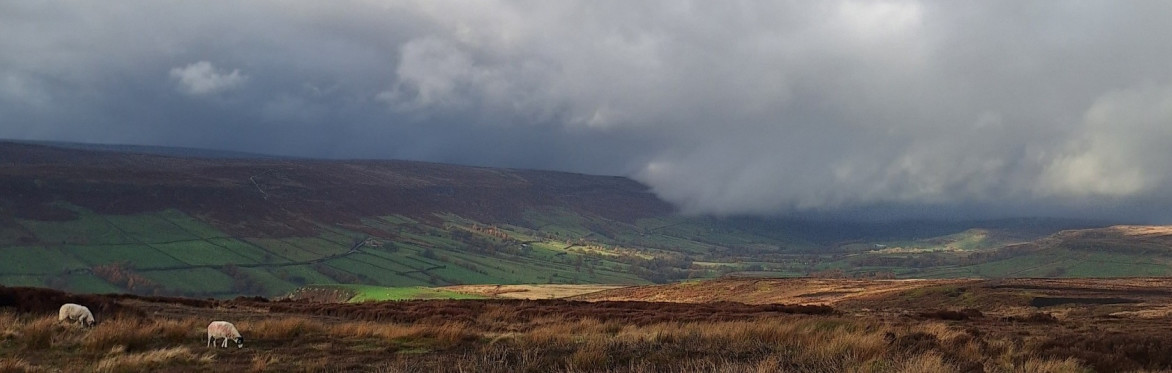 North York Moors National Park - 2026 Rural Business Advice Day