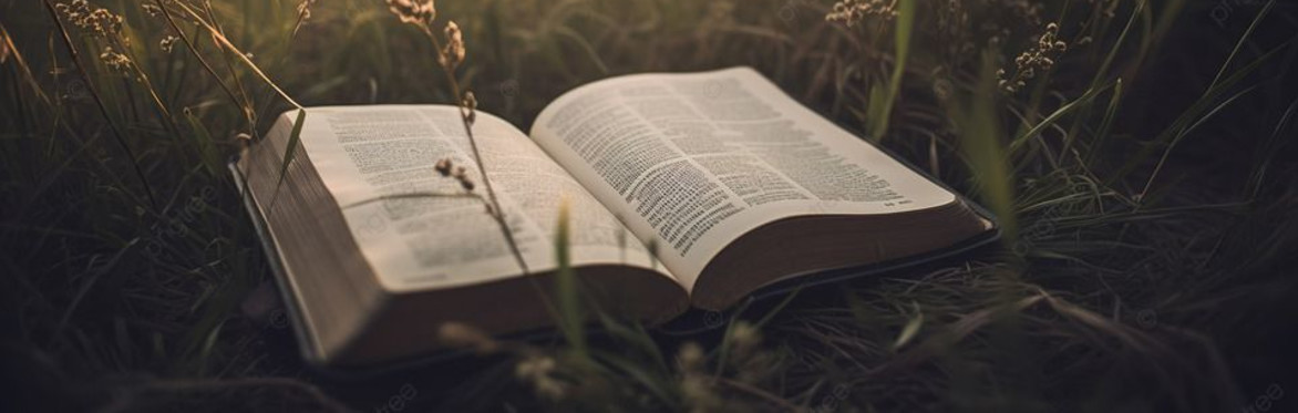 Chapters of Growth
