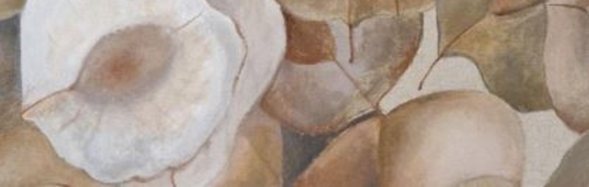 Mostra: Arte e semi di meraviglia
