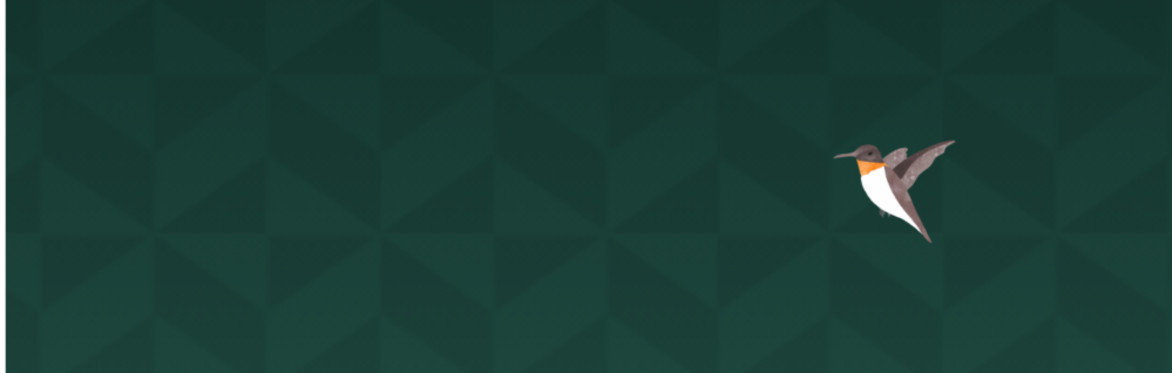 hummingbird on green abstract background
