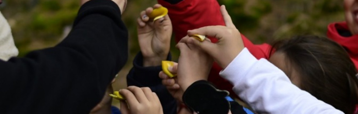 Scienziati per un giorno - Laboratorio per bambini